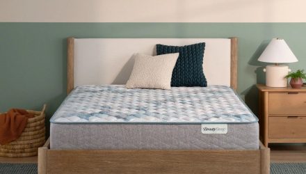 fc11d46a5403fdd515d2c714398e8ca7d834ffa0_jpg